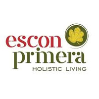 Developer Logo
