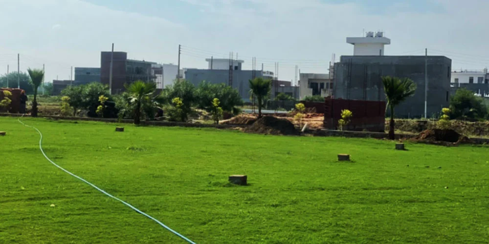 motia chadigarh hills