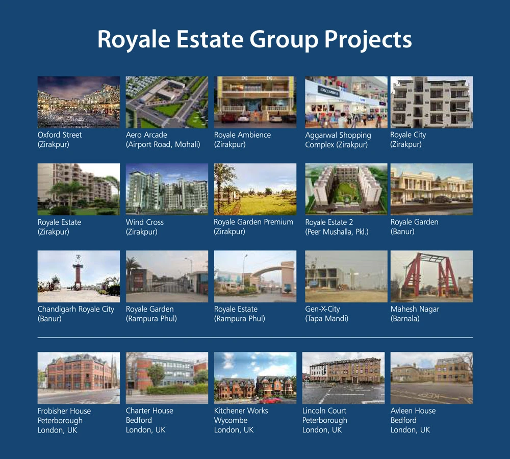 royale estate group projects